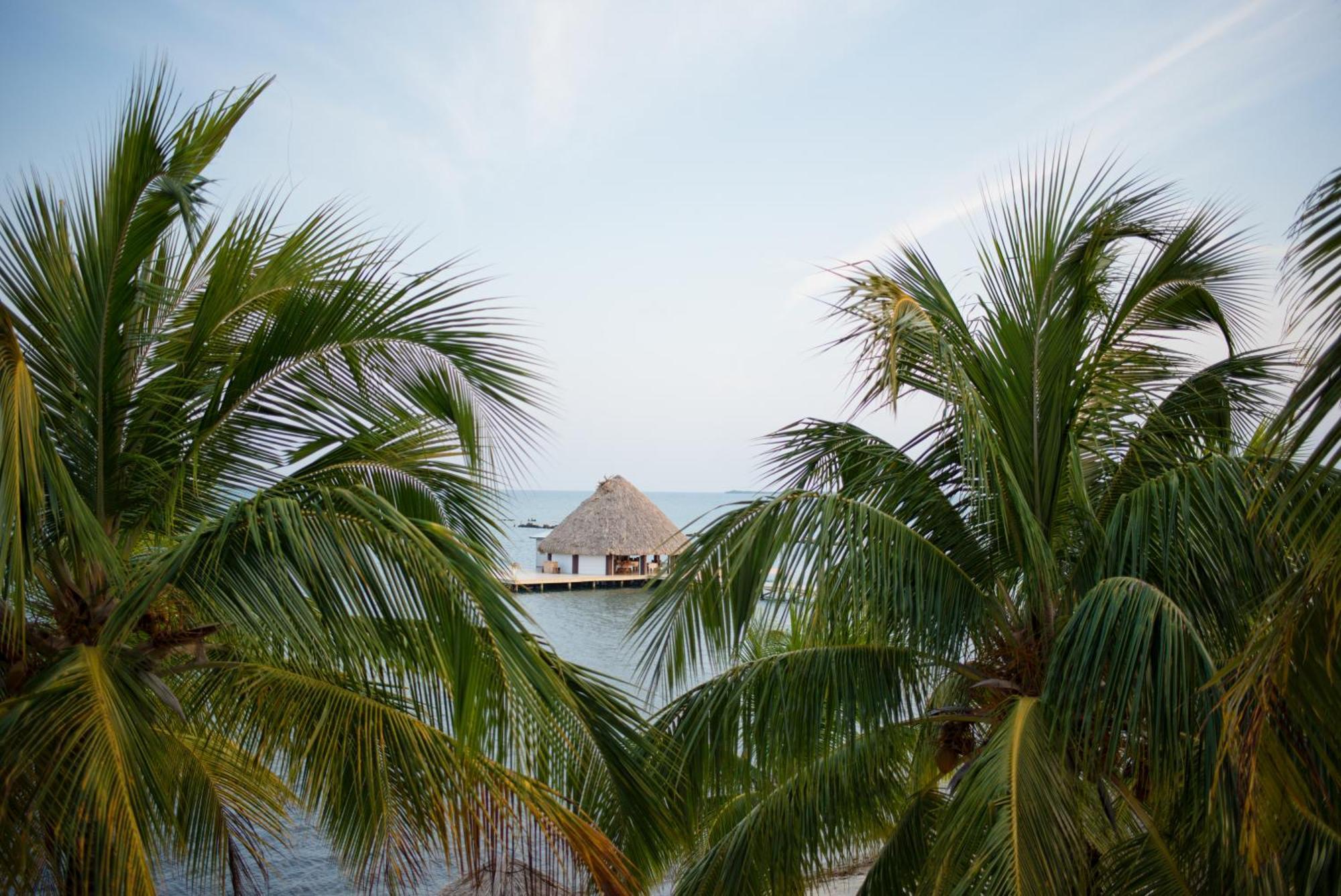 The Placencia Maya Beach المظهر الخارجي الصورة